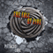 The Fall of Five: Lorien Legacies, Book 4