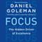Focus: The Hidden Driver of Excellence