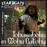Tohuwabohu in Wohu Batohu (Star Gate 29)