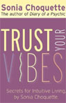 Trust Your Vibes: Secret Tools for Six-Sensory Living