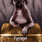Fyrtjet (The Tinderbox): iDrawTales