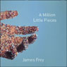 A Million Little Pieces