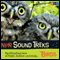 NPR Sound Treks: Birds: Spellbinding Tales of Flight, Feather, and Song