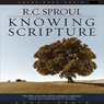 Knowing Scripture
