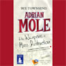 Adrian Mole and the Weapons of Mass Destruction