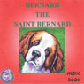 Bernard the St. Bernard