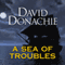 A Sea of Troubles