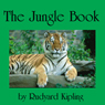 The Jungle Book