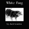 White Fang