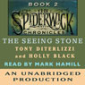 The Seeing Stone: The Spiderwick Chronicles, Book 2