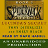 Lucinda's Secret: The Spiderwick Chronicles, Book 3