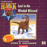 The Case of the Blinded Blizzard
