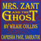 Mrs. Zant and the Ghost
