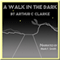 A Walk in the Dark
