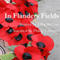 In Flanders Fields