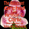 The Reluctant Orchid
