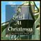 A Grief at Christmas