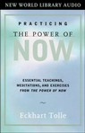 Practicing the Power of Now: Teachings, Meditations, and Exercises from the Power of Now