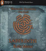 Labyrinth