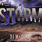 Storm: The SYLO Chronicles, Book 2