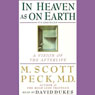 In Heaven as On Earth: A Vision of the Afterlife