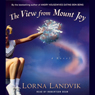 The View from Mount Joy: A Novel