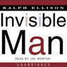 Invisible Man: A Novel