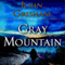 Gray Mountain: A Novel