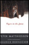 Tigers in the Snow
