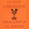 Dragonfly in Amber