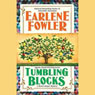 Tumbling Blocks