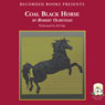 Coal Black Horse