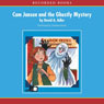 Cam Jansen: The Ghostly Mystery #16