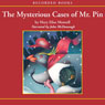 The Mysterious Cases of Mr. Pin