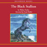 The Black Stallion