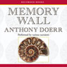Memory Wall: Stories