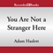 You Are Not a Stranger Here: Stories