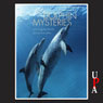 Dolphin Mysteries: Unlocking the Secrets of Communication