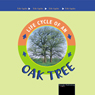 Life Cycles: Oak Tree