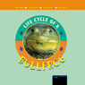 Life Cycles: Bullfrog