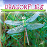 Dragonflies