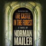 The Castle in the Forest: A Novel