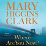 Where Are You Now?: A Novel