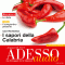 ADESSO audio - I sapori della Calabria. 8/2012. Italienisch lernen Audio - Die Kche Kalabriens
