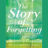 The Story of Forgetting: A Novel