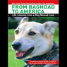 From Baghdad to America: Life Lessons from a Dog Named Lava