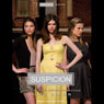Suspicion: A Private Novel