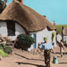 Cranford