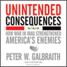 Unintended Consequences: How War in Iraq Strengthened America's Enemies