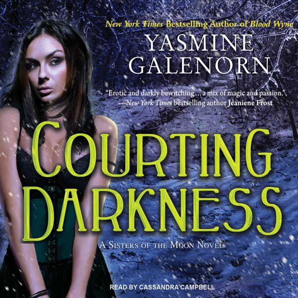 Courting Darkness: Otherworld, Book 10